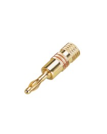 STUDIOMASTER - CG125R - Conector Banana GOLD Rojo