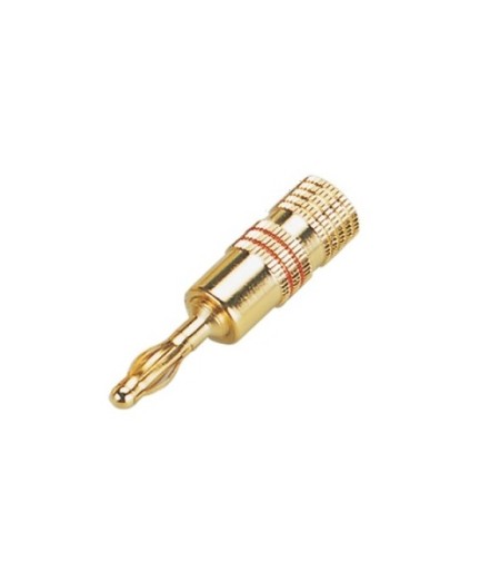 STUDIOMASTER - CG125R - Conector Banana GOLD Rojo