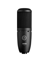 AKG - P120 - Micrófono de Condensador P-120