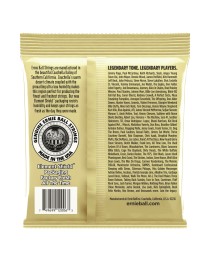 ERNIE BALL - 2006 - Cuerdas EARTHWOOD EXTRA LIGHT 80/20 10-50