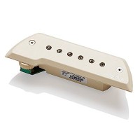 EMG - EMGACSIVORY - ACS Electroacústica IVORY
