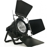 WILD PRO - WP-L100UV UV COB FOCO PAR LED 100W DMX