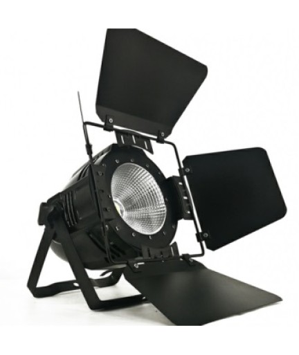 WILD PRO - WP-L100UV UV COB FOCO PAR LED 100W DMX