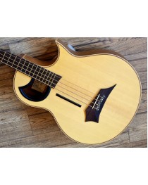 WARWICK - 1374909000CS0VSM - Bajo Electro Acústico de 4 Cuerdas Alien NT 2012